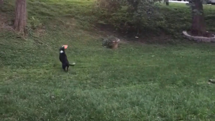 Head Start and Catch